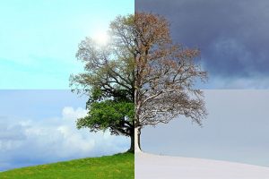 Taking care of yourself during seasonal change - from winter to spring