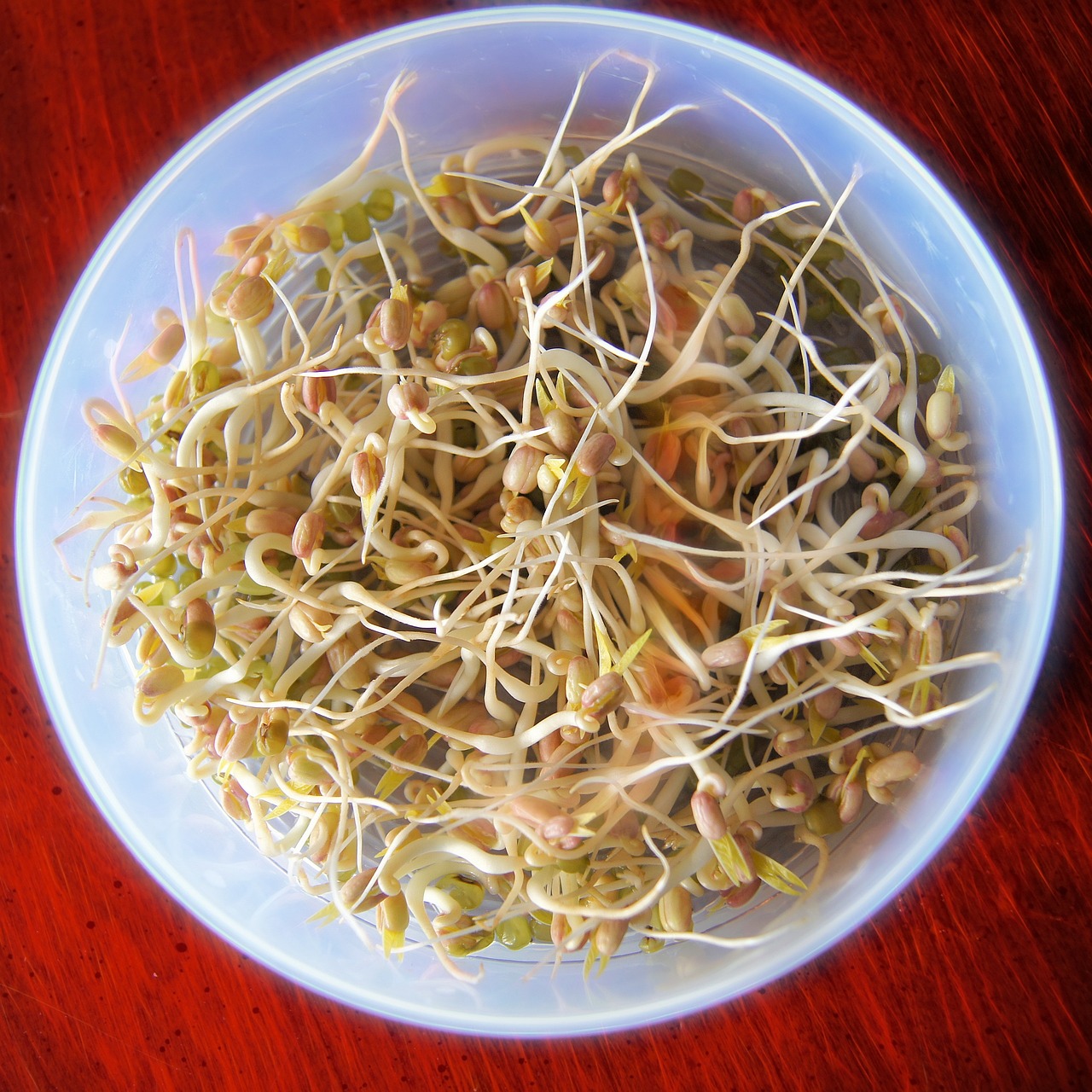 benefits of sprouts