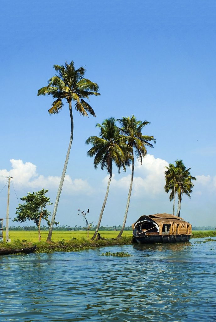 Backwaters - Venice of the East