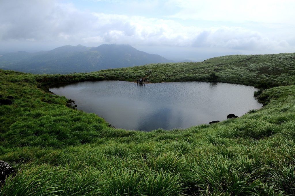 Wayanad - Where Nature Unveils its Mysteries