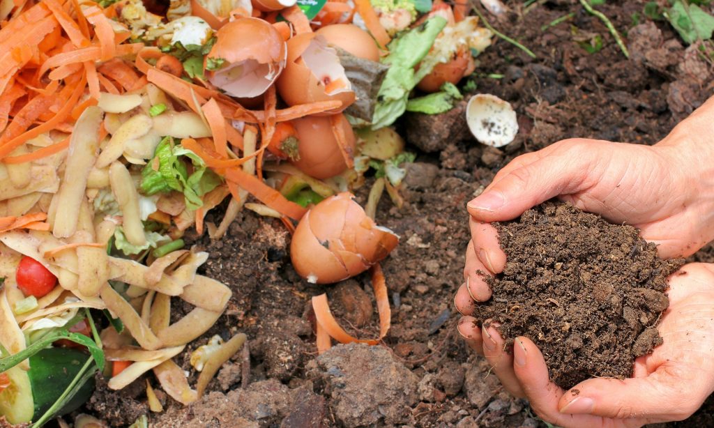 Soil Enrichment and Nutrient Cycling