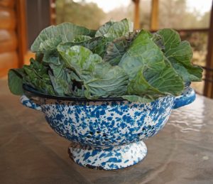types of leafy vegetables