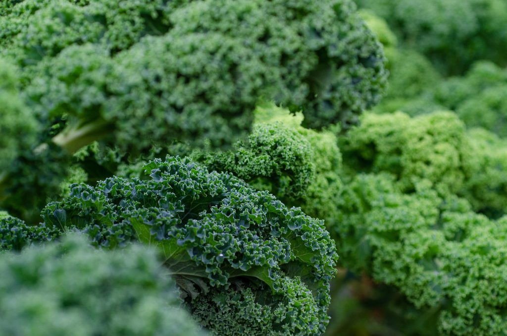 Kale: The Nutrient Powerhouse