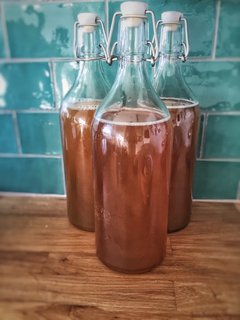 Kombucha: The Fizzy Elixir