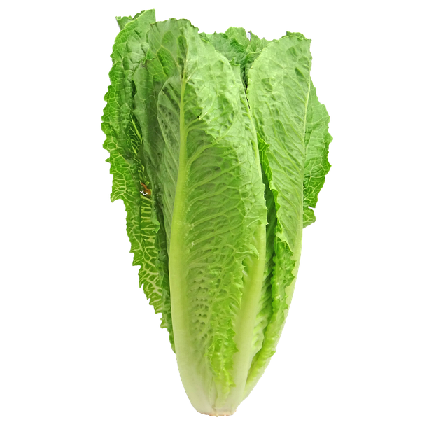  Romaine Lettuce: Crisp and Refreshing