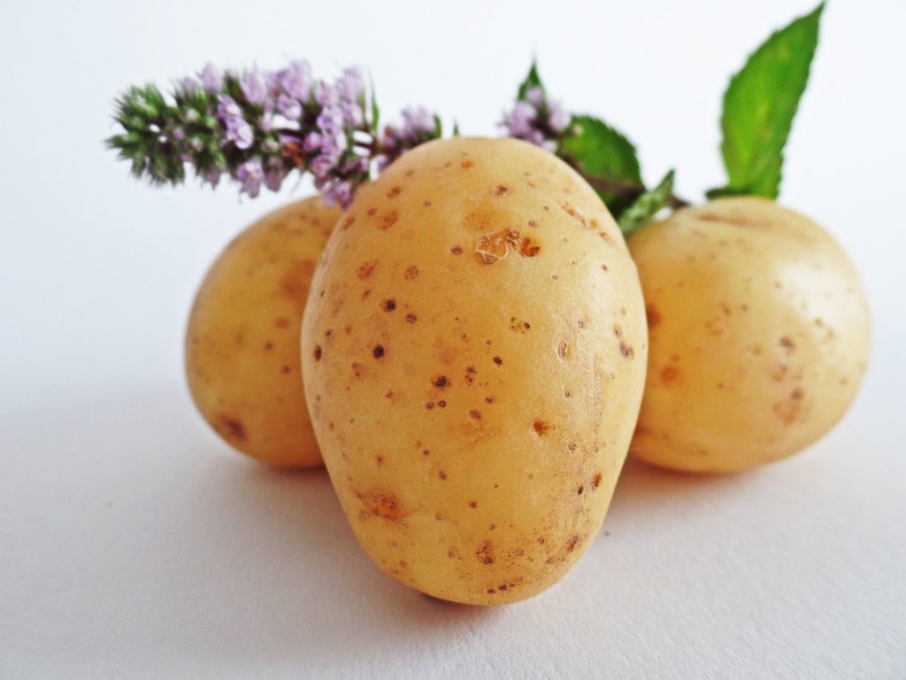 Rich in Nutrients
