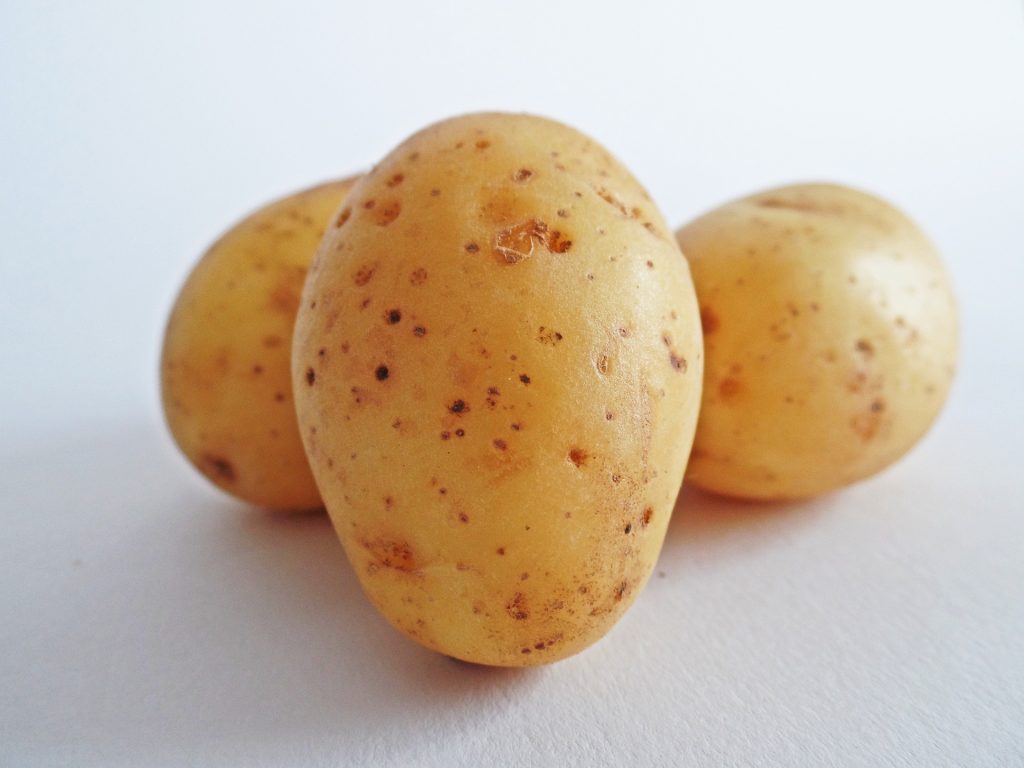 Complex Carbohydrates for Sustained Energy