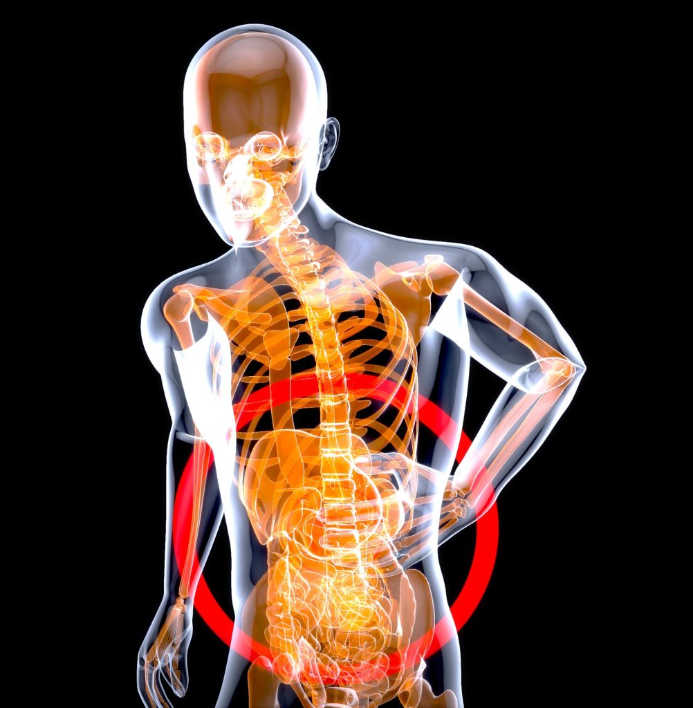 Gut Health Support
