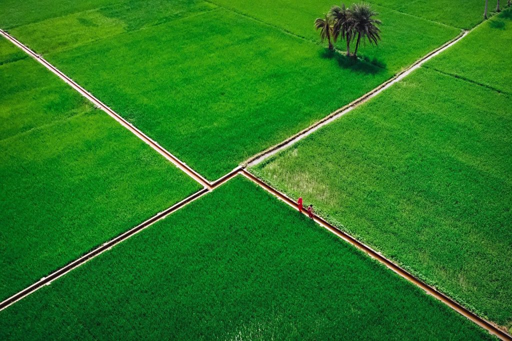 Agricultural Practices