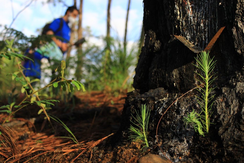 Mitigation Strategies