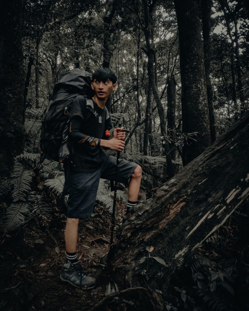 Exploring the Wilderness