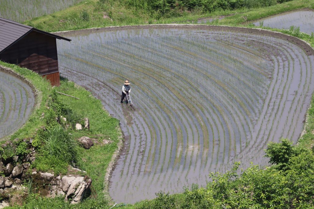 Environmental Impact: