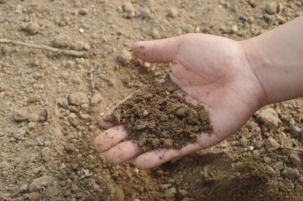 Types of soils