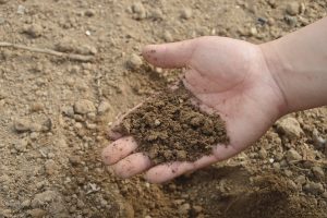 Types of soils