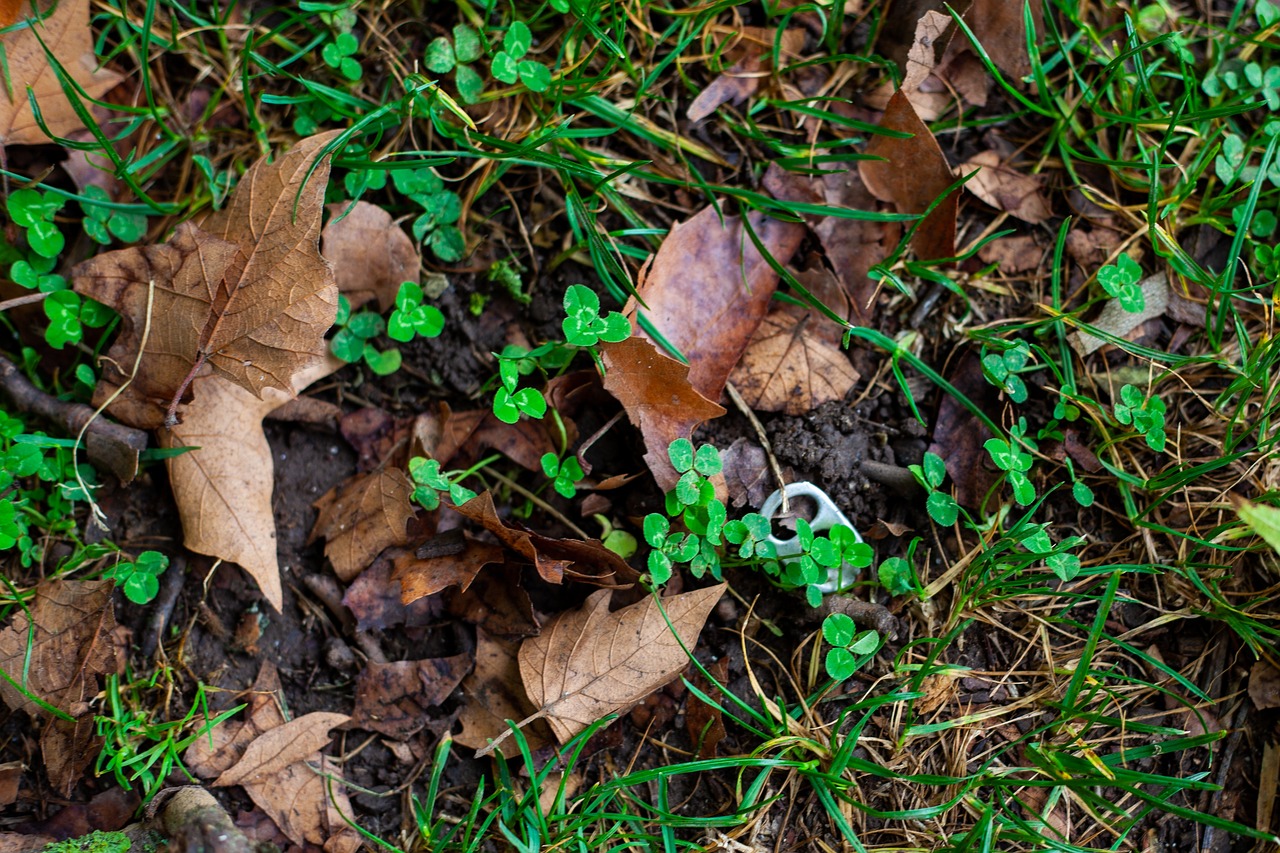 Causes of soil pollution