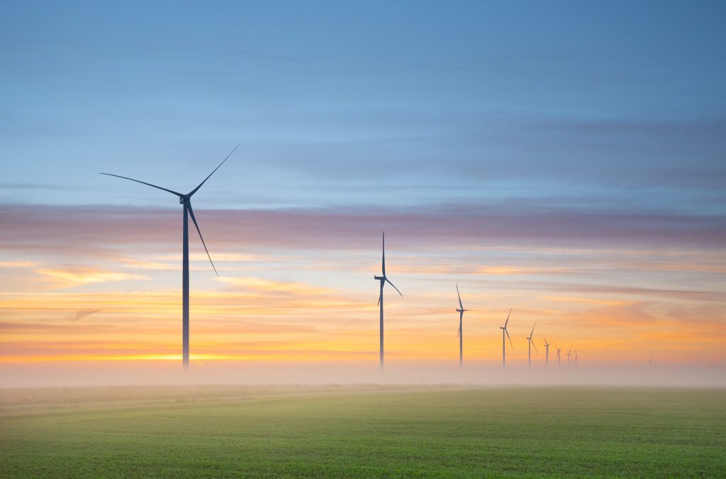 Environmental Impact