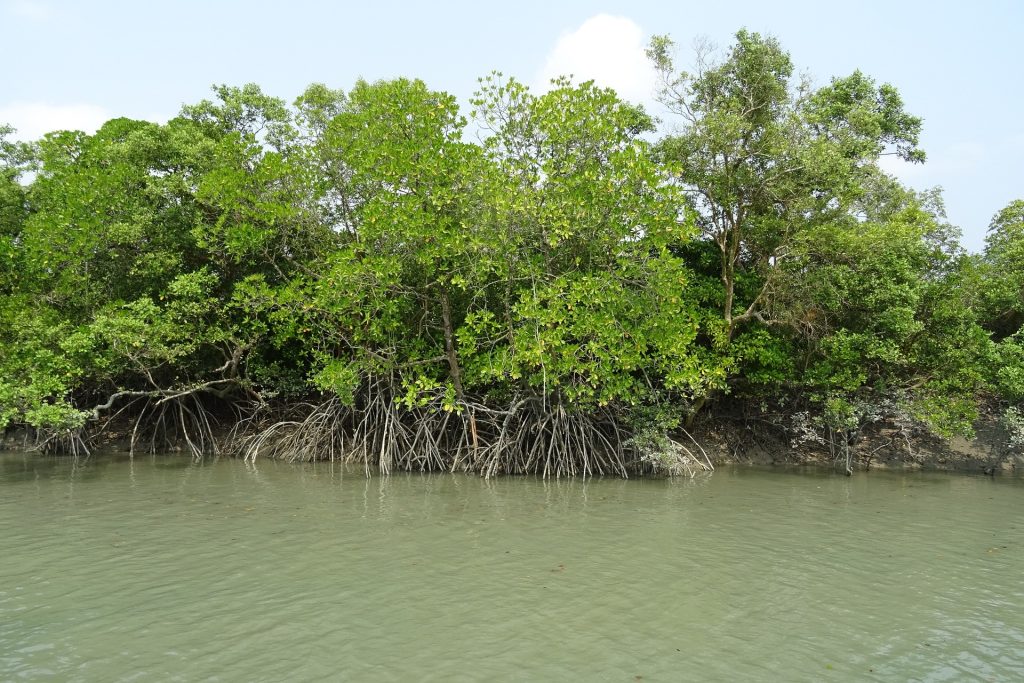 Biodiversity Hotspots