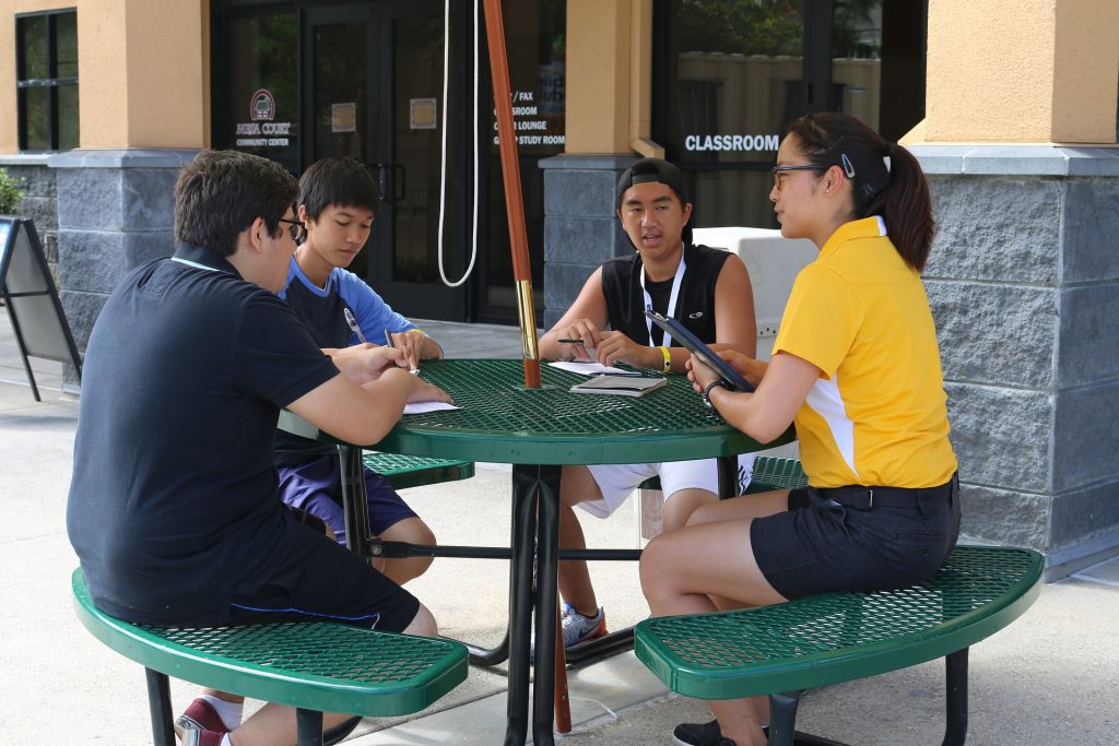 Enhanced Understanding Through Diverse Perspectives
